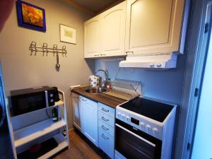 a small kitchen with a sink and a stove at Abisko Guesthouse & Activities in Abisko