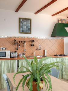A cozinha ou cozinha compacta de Casanaga