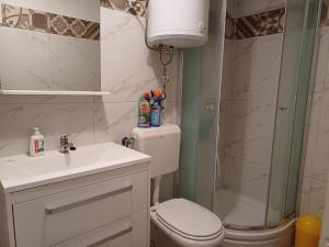 y baño con aseo, lavabo y ducha. en Guest House Jungher, en Korčula