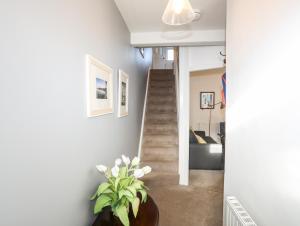 a hallway with a staircase and a potted plant at Silva in Penmon