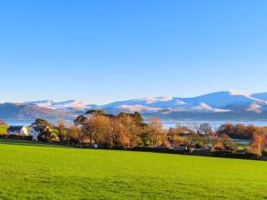 a green field with trees and mountains in the background at Silva in Penmon