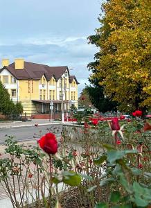 un grupo de flores rojas delante de un edificio en Бобри плюс, en Novovolynsʼk