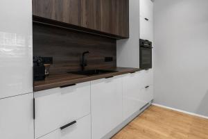 Virtuve vai virtuves zona naktsmītnē Stay Iceland apartments - G 1