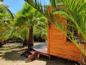 a wooden cabin with a palm tree next to it at The Farmhouse Palm Tree Cabin in Stellenbosch