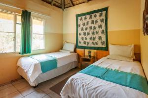 a bedroom with two beds and two windows at African Sunsets (Bophirimo Self-Catering Guest House) in Kasane