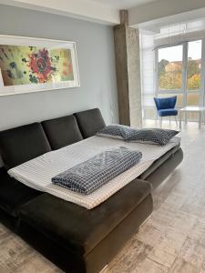 - un lit installé sur un canapé dans le salon dans l'établissement Central Bliss, à Suceava