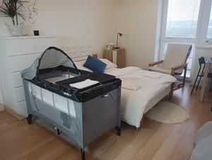 ein Schlafzimmer mit einem Bett und einem Kinderbett in der Unterkunft Apartman Bystrc in Brünn