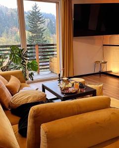 salon z dwoma kanapami i dużym oknem w obiekcie Apartamenty i Las w Brennie