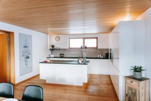 Kuchyň nebo kuchyňský kout v ubytování Baldauf Apartment