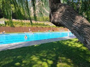 Bazén v ubytování Camping Llavorsi nebo v jeho okolí
