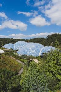 a group of green domes in a field of trees at Cornish Village Getaway in Gwennap