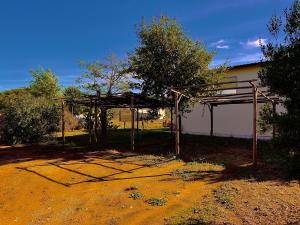 Zahrada ubytování Carpine Agriturismo Bio in Maremma