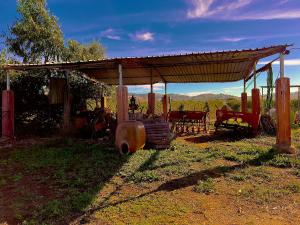 Zahrada ubytování Carpine Agriturismo Bio in Maremma