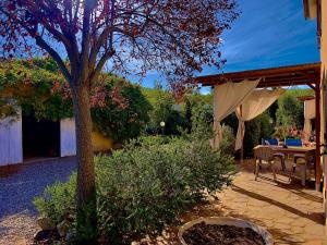 Zahrada ubytování Carpine Agriturismo Bio in Maremma