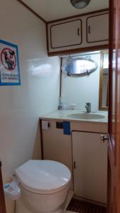 ein kleines Bad mit WC und Waschbecken in der Unterkunft Vira Yacht in Göcek