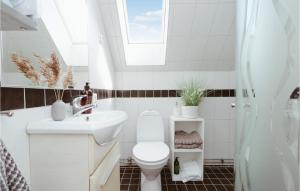 a bathroom with a toilet and a sink and a skylight at Amazing Home In Lammhult With Ethernet Internet in Lammhult