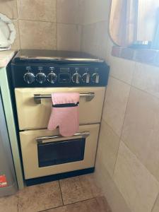 a oven with a pink oven glove on the handle at Pond Cottage in Egerton