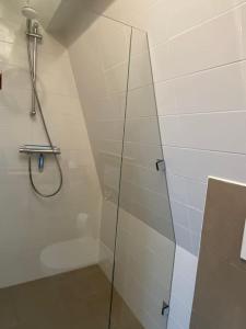a shower with a glass door in a bathroom at City-beach apartment nearby Amsterdam in Hoorn