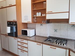 Kuhinja oz. manjša kuhinja v nastanitvi VI Floor Apartment