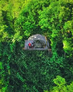 an overhead view of a tent in a forest of trees at Wine Space in Ambrolauri