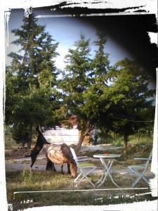 Fotografie z fotogalerie ubytování Campo de Reyes v destinaci Tafalla