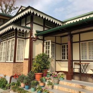 a house with potted plants in front of it at Cafe Shillong Bed and Breakfast in Shillong