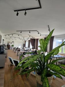 a large plant in a room with tables and chairs at Hotel Fuchs & Hase SELF CHECK IN in Rosegg
