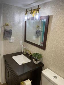 ein Badezimmer mit einem Waschbecken, einem Spiegel und einem WC in der Unterkunft Sweet Home with beautiful ambiance 2 bedroom in Brampton