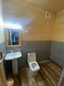 Poppy Resorts Auli في جوشيماث: حمام صغير مع مرحاض ومغسلة