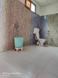 a bathroom with a bath tub and a toilet at Auli Eco Nature Resort in Joshīmath