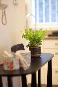 una pequeña mesa con una planta encima en Primrose Hill Apartments en Londres