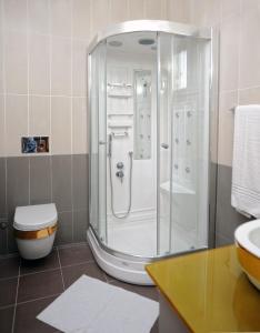 a bathroom with a shower and a toilet at Riverside Garden Resort in Kyrenia