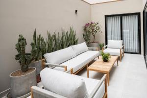 * Casma Residence * Private Terrace & Grill & HVAC في ليما: غرفة معيشة مع الأرائك والنباتات الفخارية