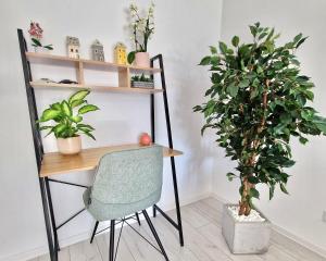 un escritorio y una silla junto a una planta en Sector3 Modern Living and Terrace, en Bucarest