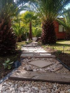 un jardin avec des palmiers et une passerelle dans l'établissement The Farmhouse Palm Tree Cabin, à Stellenbosch