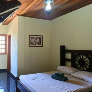 1 dormitorio con 1 cama en una habitación en Sítio Vale dos Reis en Resende