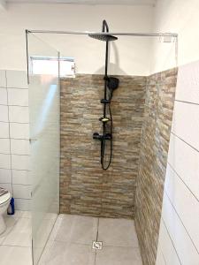W łazience znajduje się prysznic ze szklanymi drzwiami. w obiekcie Villa de 2 chambres avec vue sur la ville piscine privee et jardin clos a Le Lamentin w mieście Le Lamentin