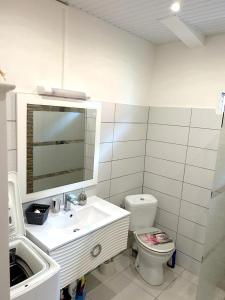 ein Badezimmer mit einem Waschbecken, einem WC und einem Spiegel in der Unterkunft Villa de 2 chambres avec vue sur la ville piscine privee et jardin clos a Le Lamentin in Le Lamentin