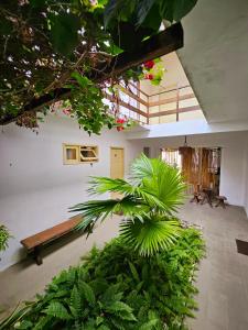 una habitación con un banco y algunas plantas en Pousada Vila Moana, en Maragogi