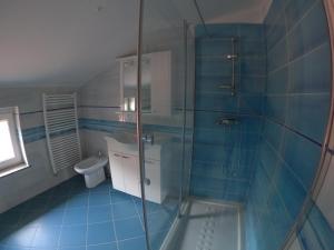a bathroom with a glass shower and a toilet at Attic apartment with a terrace in Sežana