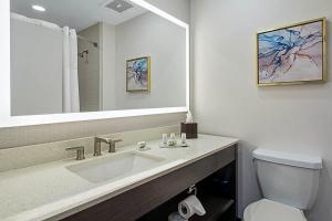 Wingate by Wyndham Macon I-75的一间浴室