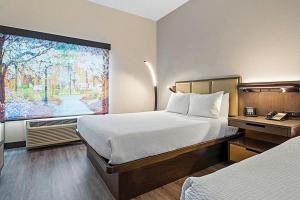 Wingate by Wyndham Macon I-75客房内的一张或多张床位