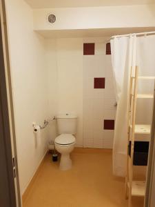 uma casa de banho com um WC e uma cortina de chuveiro em Le studio 1800 aux pieds des pistes em Puy-Saint-Vincent
