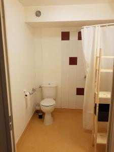 a bathroom with a toilet and a shower curtain at Le studio 1800 aux pieds des pistes in Puy-Saint-Vincent