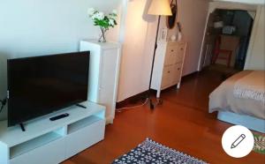 ein Wohnzimmer mit einem Flachbild-TV und einem Bett in der Unterkunft Loft 1a linea puerto deportivo in Bermeo