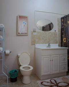 een badkamer met een toilet, een wastafel en een spiegel bij Savan Suite - Caribbean Estates - Gated Community in Portmore