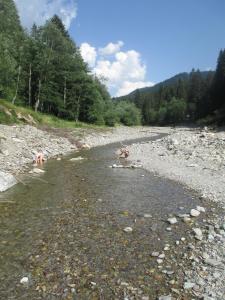 Príroda v okolí apartmánu