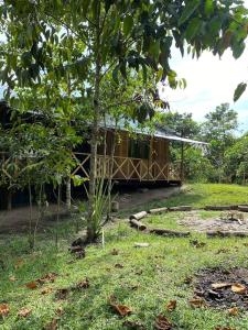 una casa en medio de un patio con un árbol en YAKU lodge & camping en Padre Cocha