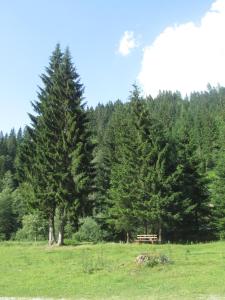 Príroda v okolí apartmánu