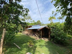 a small house with a tin roof on a yard at YAKU lodge & camping in Padre Cocha
